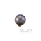 Pearl Gray 2062 Knob